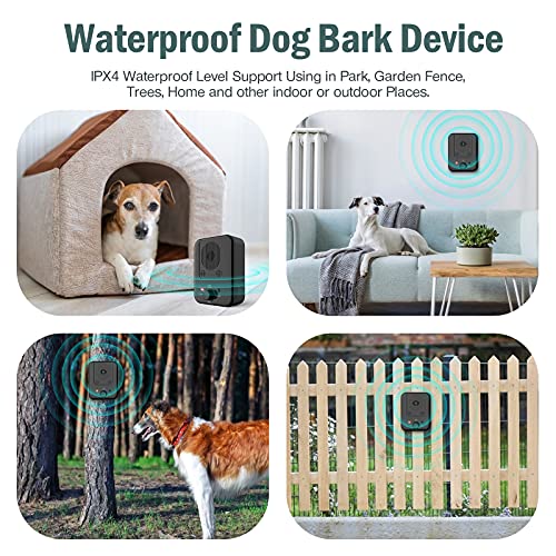 QueenMew Anti Barking Device, 3 Adjustable Sensitivity and Frequency