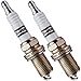 Champion 810 Spark Plugs 2 Pack