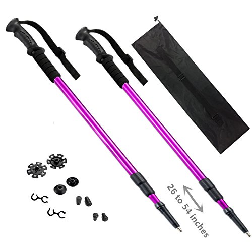 BAOCHI Hiking Trekking Poles Walking Sticks (1 Pair) Telescoping Ultra Strong Alpenstocks Anti Shock Mountaineering Trail(Purple)