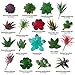 UNQUER 18 Pack Artificial Succulent Flocking Plants - Unpotted Faux Flocked Succulent Assortment Create Realistic Succulent Arrangements Fake Potted Succulent Décor Different Size Lotus Garden DYI