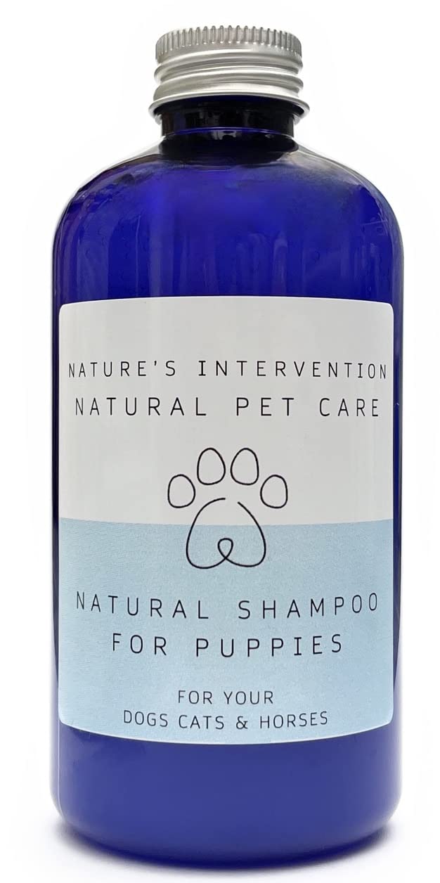 Nature's Intervention 99% Natural Gentle Puppy Shampoo – For Puppies 8 Weeks+ – Concentrated 1:10 Dilution – Aloin-Free Aloe Vera & Lavender – Sulfate-Free & Tear-Symptom Safe – 250ml