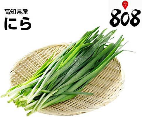 Amazon 高知県産 訳あり ミネラル栽培 ニラ 1箱 1パック100g 50束入訳有 訳あり 訳アリ ワケあり 808青果店 にら 通販