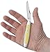 Case Muskrat Pocket Knives