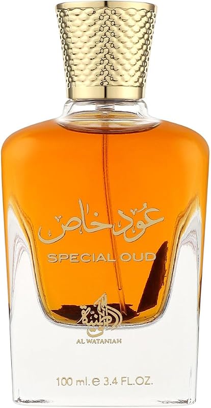 PERFUME 100ML - SPECIAL OUD — foto 1 de 4