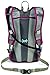 High Sierra Propel Hydration Pack, Boysenberry/Ash, 2-Liter