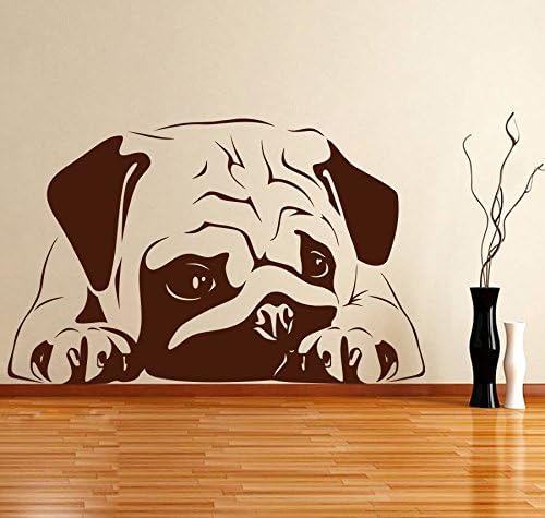 DECOR Kafe Home Decor Chinese Pug Wall Sticker, Wall Sticker for Bedroom, Wall Art, Wall Poster (PVC Vinyl, 55 X 35 CM)