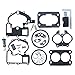 KIPA Carburetor Repair Rebuild Kit For Mercruiser Marine 2 Barrel Rochester Carburetor with FLOAT 3302-804844002# 1389-9562A1 1389-9563A1 1389-9564A1 1389-9670A2 1389-806077A2 1389-806078A2 primary