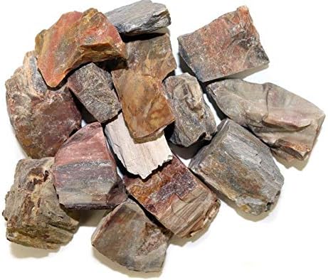 Amazon Com Gypsy Palace Online New Petrified Wood Chunks Wholesale Minerals By The Pound Home Kitchen