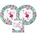 Fairies and Flowers Pink Metallic Birthday Plates and Napkins, 16 Servings, Bundle- 3 Items