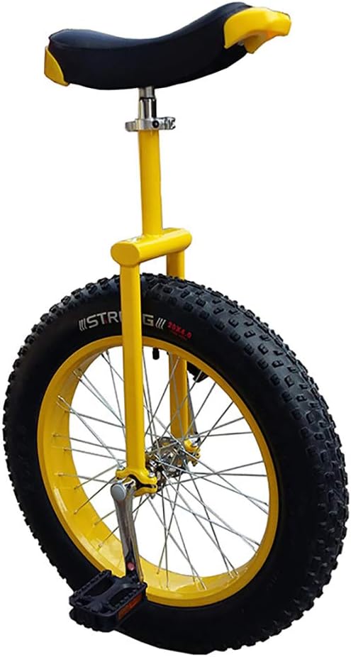 20 x 4 fat tire