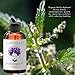 Laritelle Organic Post-Shampoo Hair Strengthening & Scalp Toning Treatment for Men & Women 3 x 2 oz | Fortifying, Strengthening & Rejuvenating | Stops Hair Shedding, Promotes New Hair Growth