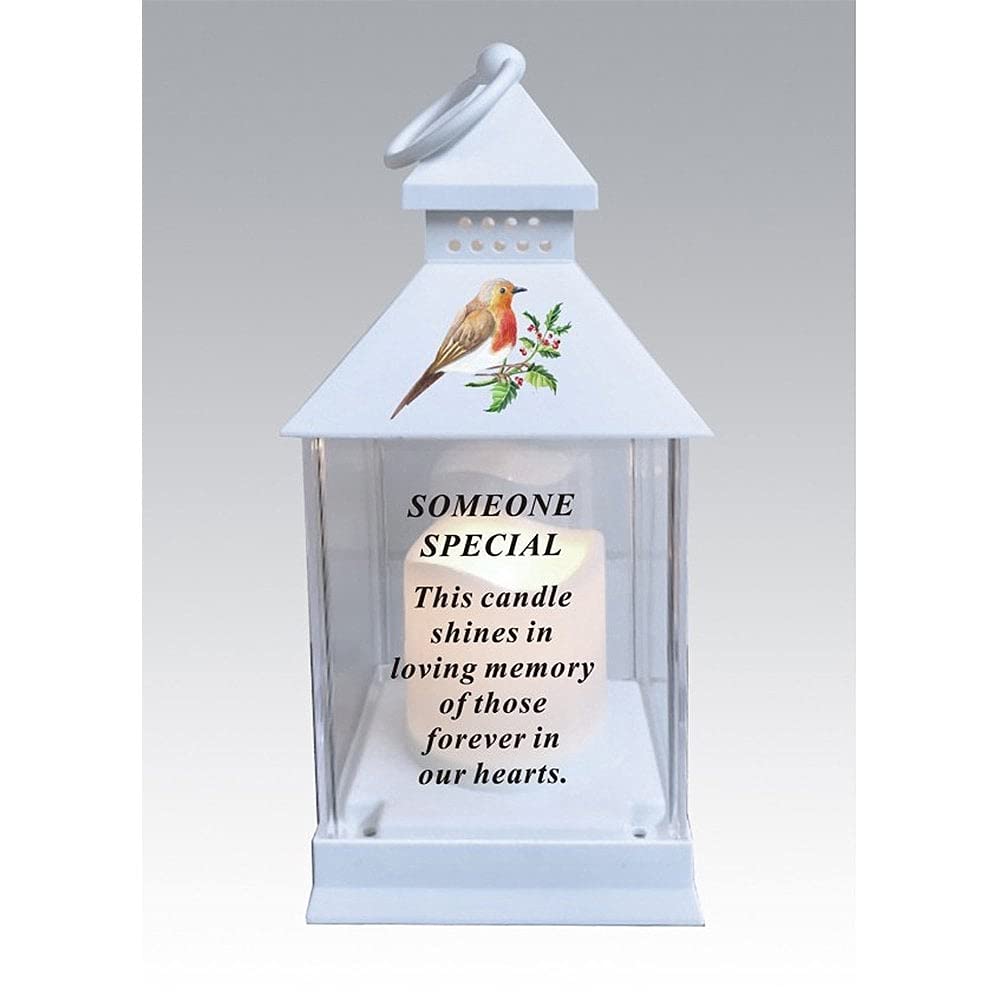 Waterproof Robin Memorial Graveside Lantern with LED Candle (Someone Special) — image 1