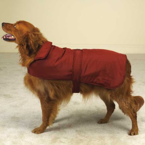 Casual Canine Reversible Barn Coat for Dogs - Green - Medium (Med)