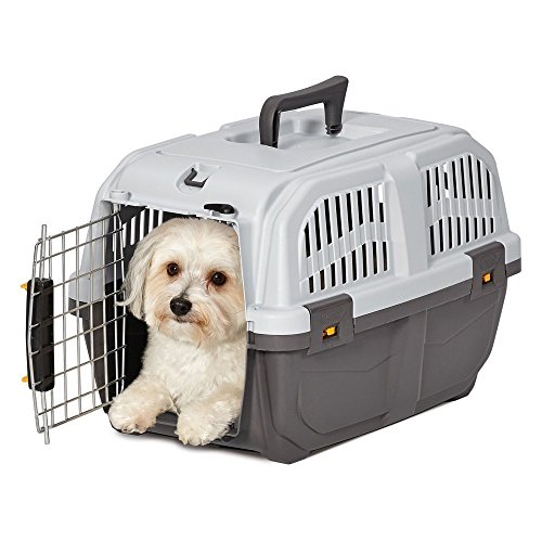 Midwest Homes for Pets Skudo Plastic Carrier, 19