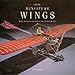 On Miniature Wings: Model Aircraft of the National Air and Space Museum by 