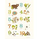 Surf Art Print Set - Kids Beach Wall Decor – Urchin Bay