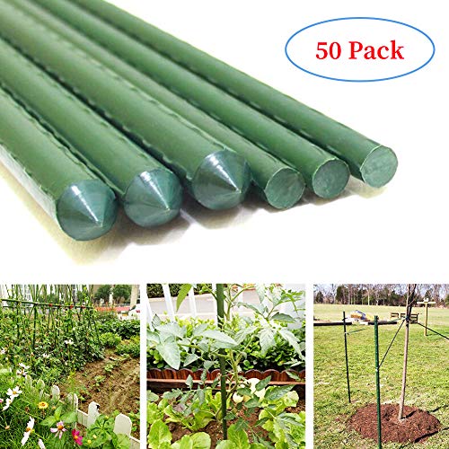 G-LEAF Sturdy Metal Garden Stakes 4 Ft Plastic Coated Steel Tube Plant Sticks for Tomato,Cucumber,Strawberry, Bean,Tree,Pack of 50 - Thumbnail 7