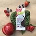 Veggie-Go's Organic Fruit and Veggie Strip with No Added Sugar, Berry, Apple, Spinach, 0.42 Ounce (Pack of 20)