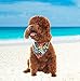 Dog Bandana with Hawaii Style - 2 Pack Triangle Dog Head Scarf Holiday Bandana Accessories for Small to Large Pet