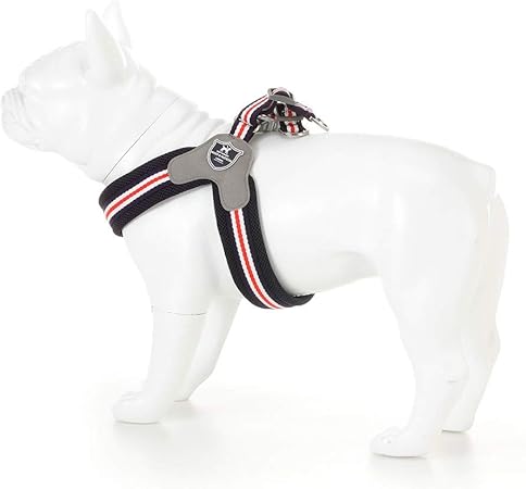 red white and blue dog harness