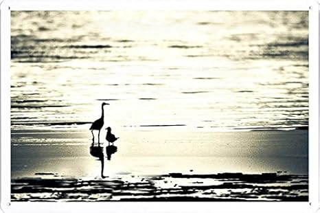 Amazon 愛は盲目であるのティンサイン 金属看板 ポスター Tin Sign Metal Poster Of Love Is Blind インテリア オンライン通販