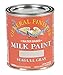 General Finishes Water Based Milk Paint, 1 Pint, Seagull Gray