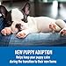 Comfort Zone Adaptil Collar, Large Dog, 1 Pack, for Dog Calming