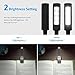 AMIR Mini Book Light, 4 LED Reading Light, Flexible Clip on Light, USB Rechargeable with Eye Care 2-Level Brightness & Soft Padded Clamp, Portable for Reading in Bed, Desk, Laptop, Reader, Kids