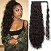 AISI QUEENS Long Ponytail Extension Wavy Curly 22