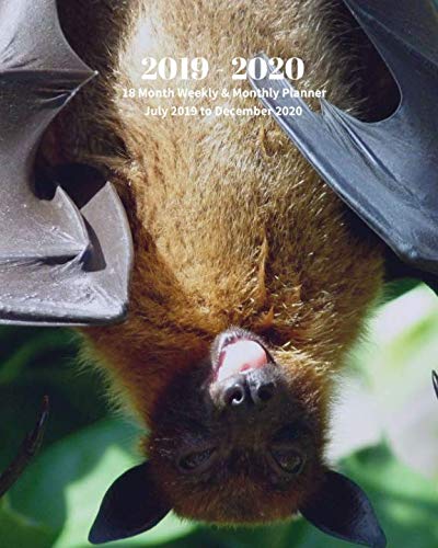 2019 - 2020 | 18 Month Weekly & Monthly Planner July 2019 to December 2020: Bats Animal Nature Vol 40 Monthly Calendar with U.S./UK/ ... Holidays- Calendar in Review/Notes 8 x 10 in. by Dazzle Book Press