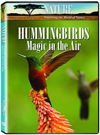 Amazon.com: NATURE: Hummingbirds of Hollywood DVD : Terry Masear