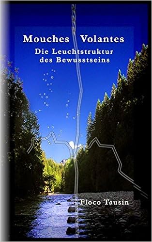 Mouches Volantes Die Leuchtstruktur Des Bewusstseins Amazon De