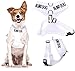 BLIND DOG (Dog Has Limited/No Sight) White Color Coded Non-Pull Front and Back D Ring Padded and Waterproof Vest Dog Harness PREVENTS Accidents by Warning Others of Your Dog in Advance (S)