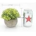 Velener Mini Plastic Artificial Pine Ball Topiary Plant with Pots for Home Decor (Green Clover)