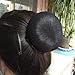 8Pcs Reusable Bun Hair Nets Elastic Flower Edge Hairnet for Ballet Bun Cover Dance Skating Gymnastics Performance Dancers Hair Accessories, Black
