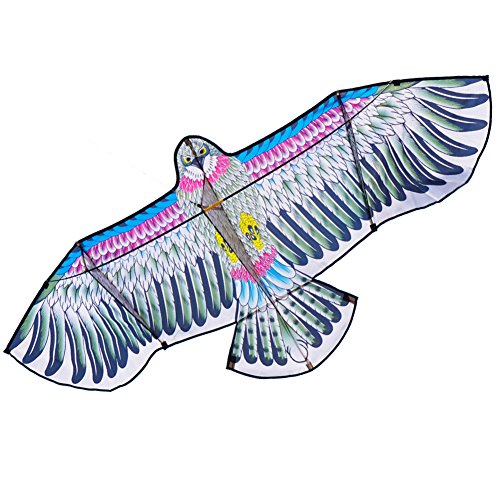 Besra 72inch 3D Eagle Bird Kite with Flying Tools Outdoor Fun Sports for Beach & Park (Eagle)