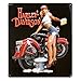 Harley-Davidson Wash Babe Tin Metal Sign, 13 W x 15 H Inch 2010371