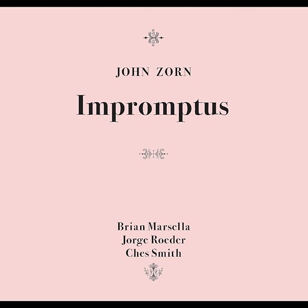 その他 Piano Works: Impromptus / Moments Musicaux [CD] 41kLyq-a+dL.jpg_BO30,255,255,