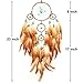 Urdeoms Big Brown Dream Catcher Wall Decor for Girls Women Boho Dream Catchers for Bedroom Adult Boys Teen Room Decor with Turquoise Hanging Ornament and Feathers Blessing Gifts(NO.31)