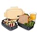 Fresh Box Premium Bento Lunch Box - Leakproof, BPA-free, Multi-Compartment, Detachable Microwave Vent, Convertible Food Container with Re-freezable and Removable Ice Pack