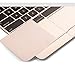 Leze - Palm Rest Cover Skin with Trackpad Protector for MacBook Pro 15-inch Laptop with Touch Bar (2016 Released,Retina Display) - Gray