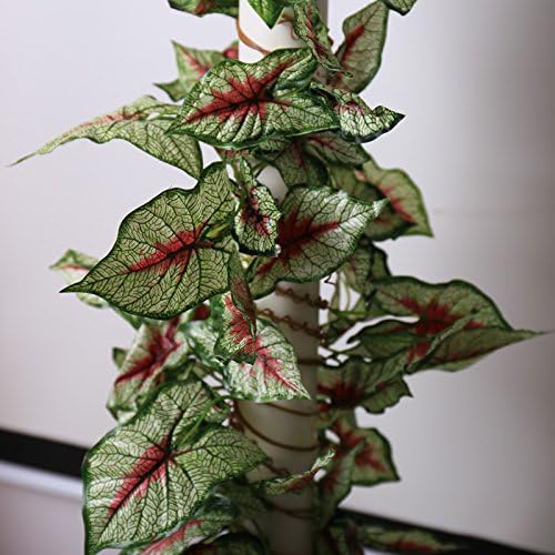 TAXI Fake green Rattan Red Maple Leaf Branch Evergreen Crabapple Scindapsus Leaf Artificial flower Vine Simulation Leaf Stem 8.9 feet