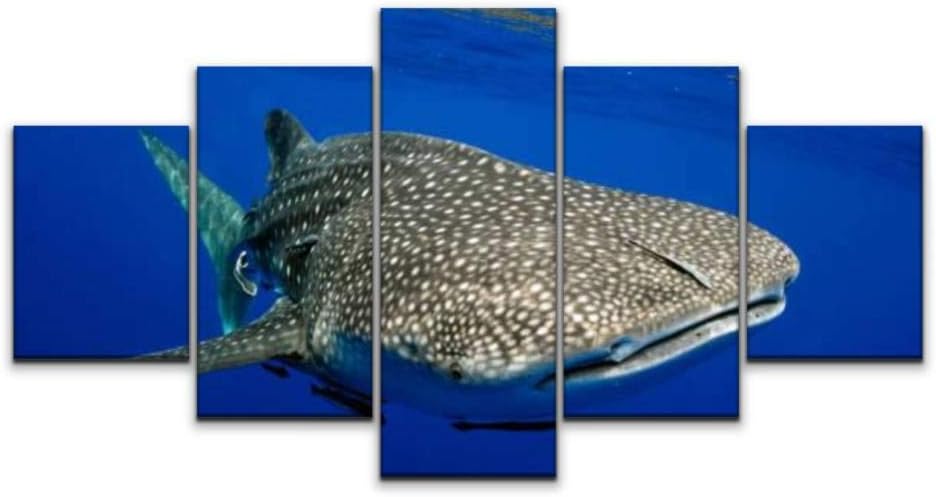 XEPPO 5 Panels Wall Art Print On Canvas Giant sea Whale Shark Colorful Reef Stock Pictures Royalty Free Modern Abstract Picture Poster for Home Decor Stretched and Framed Ready to Hang (60''Wx32''H)