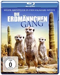 Die Erdmännchen Gang