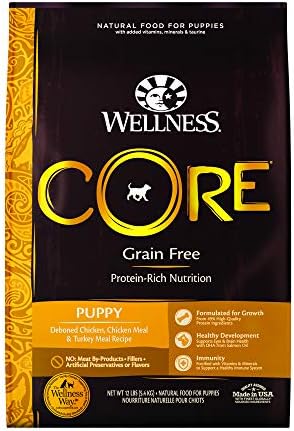 Wellness core puppy dog food Clearance