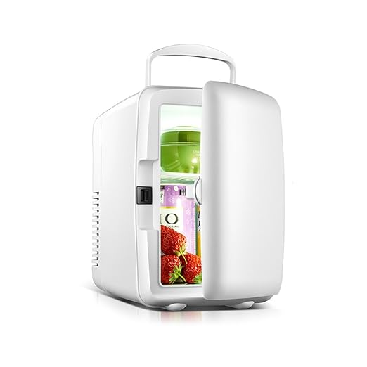 YQQ Congelador Pequeño 4L Refrigerador De Coche Refrigerador ...