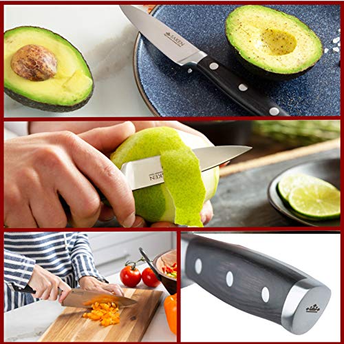 2 Saken+Chef+Knife+starter+Set