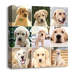 Canvas Wall Art Animals Plants Collage Ideas Home Wall Decorations for Bedroom Living Room Oil Paintings Canvas Prints Framed - 12x12 inches