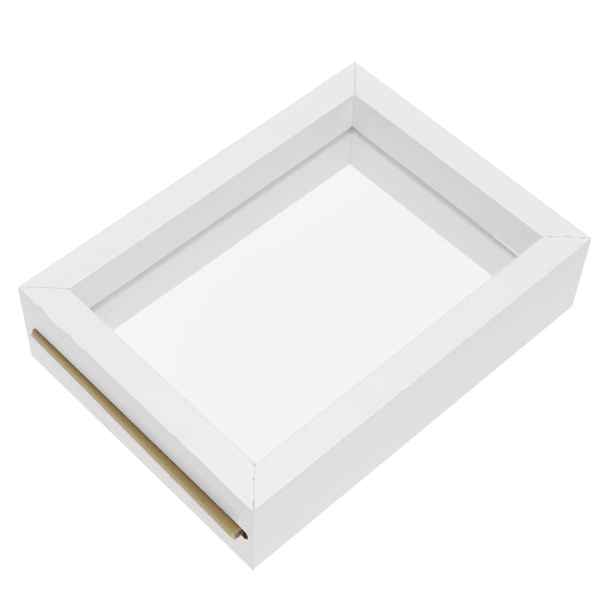 VOSAREA Specimen Display Frame Stereoscopic Transparent Dried Plant Flower Frame Double Sided Ornament for Home Office White (6 Inches)