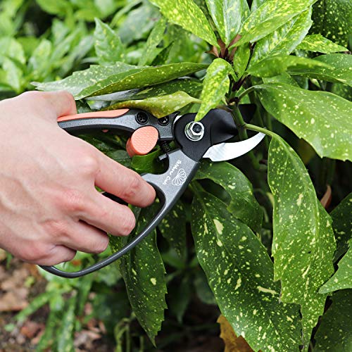 Rainbow Craft 8'' Bypass Pruner Shear, Rose Cutters, Herbs Scissors, Plant Trimming Shears for Garden&Lawn - Pink Color